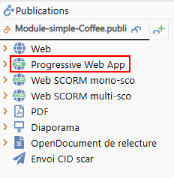 old-publi-en-pwa.png